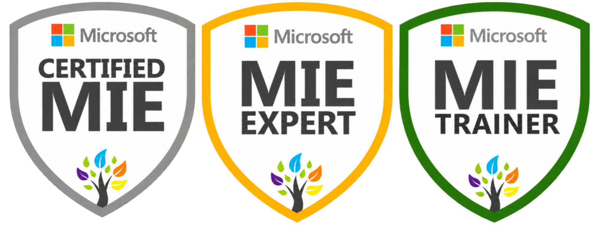 Microsoft Certified Innovative Educator (MIE)